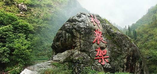 时尚红人莎莉